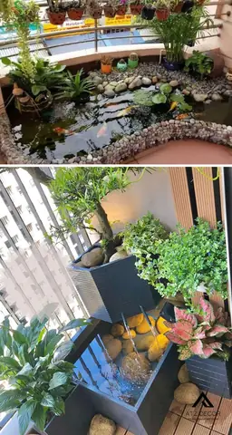 Tiểu Cảnh Hồ Cá Trong Nhà