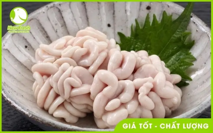 Tinh Hoàn Cá Tuyết Là Gì