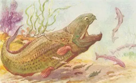 Tổ Tiên Của Cá