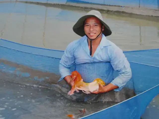 Trại Cá Cảnh Tphcm