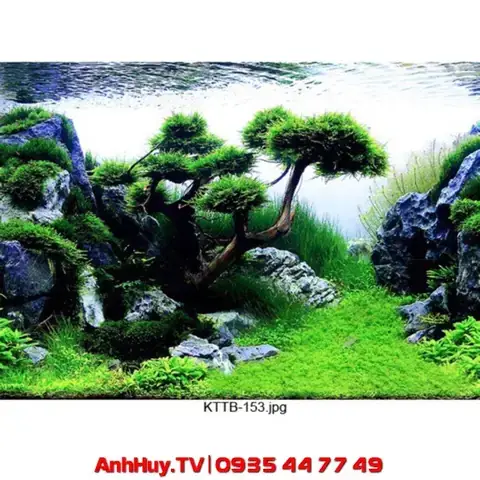 Tranh 3d Hồ Cá Đà Nẵng