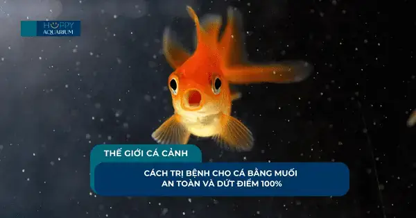 Trị Bệnh Cho Cá Bằng Muối