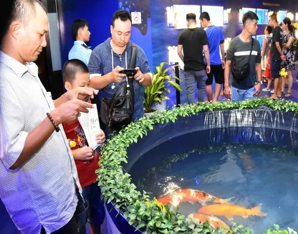 Triển Lãm Cá Cảnh