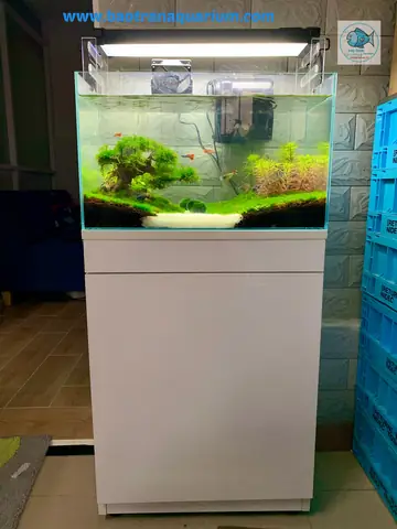 Tủ Để Hồ Cá