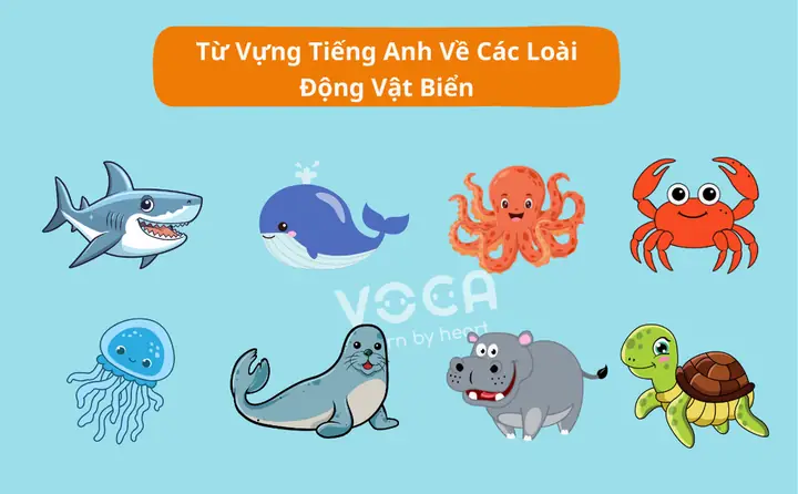 Từ Vựng Tiếng Anh Về Các Loài Cá