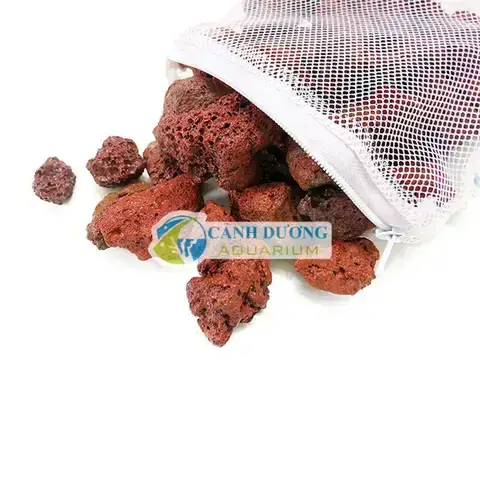 Vật Liệu Lọc Cho Hồ Cá Rồng Vật Liệu Lọc Cho Hồ Cá Rồng