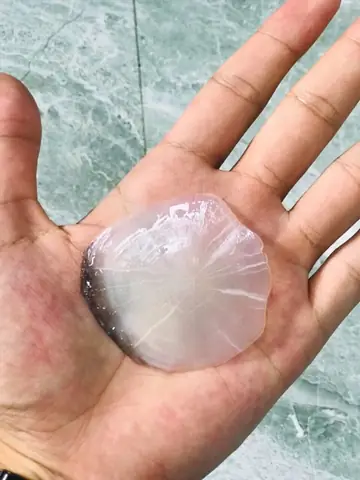 Vảy Cá Trắm Đen