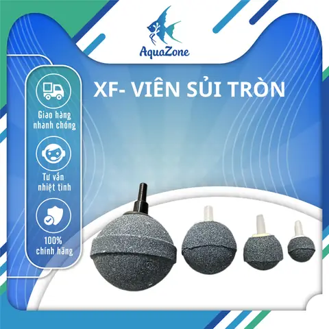 Viên Sủi Oxy Hồ Cá