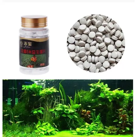 Viên Vi Sinh Cho Bể Cá