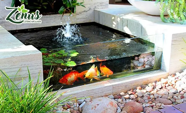 Xây Bể Cá Ngoài Trời