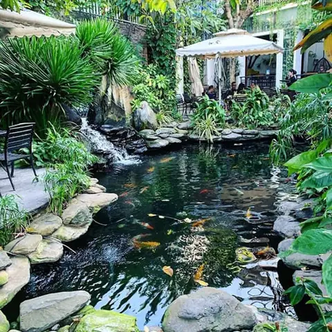 Xây Hồ Cá Sân Vườn