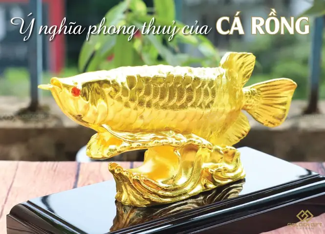 Ý Nghĩa Của Cá Rồng